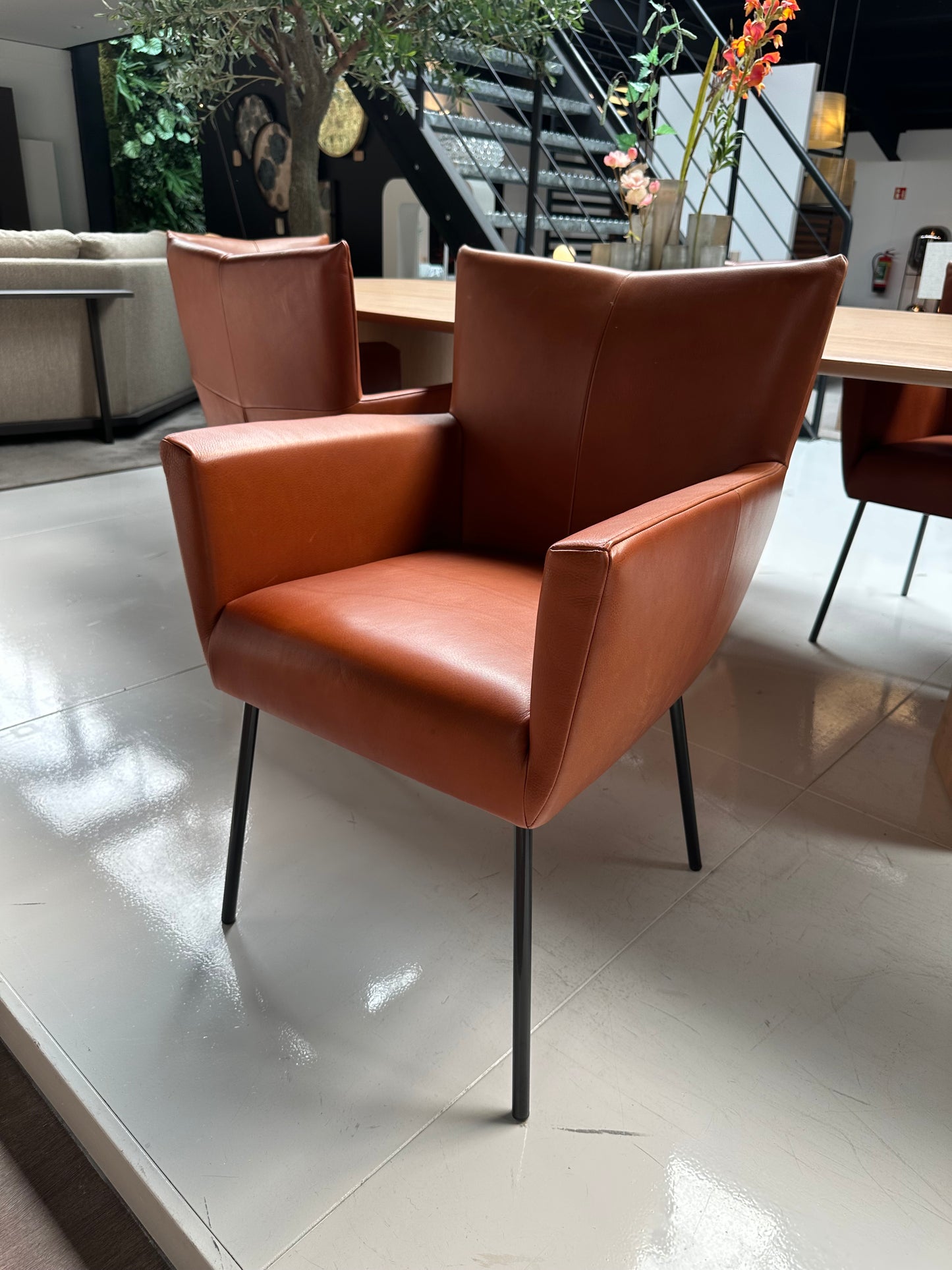 SHOWROOM 6x Mokra Stoelen Design on Stock – Leder Cera (prijs per stuk)