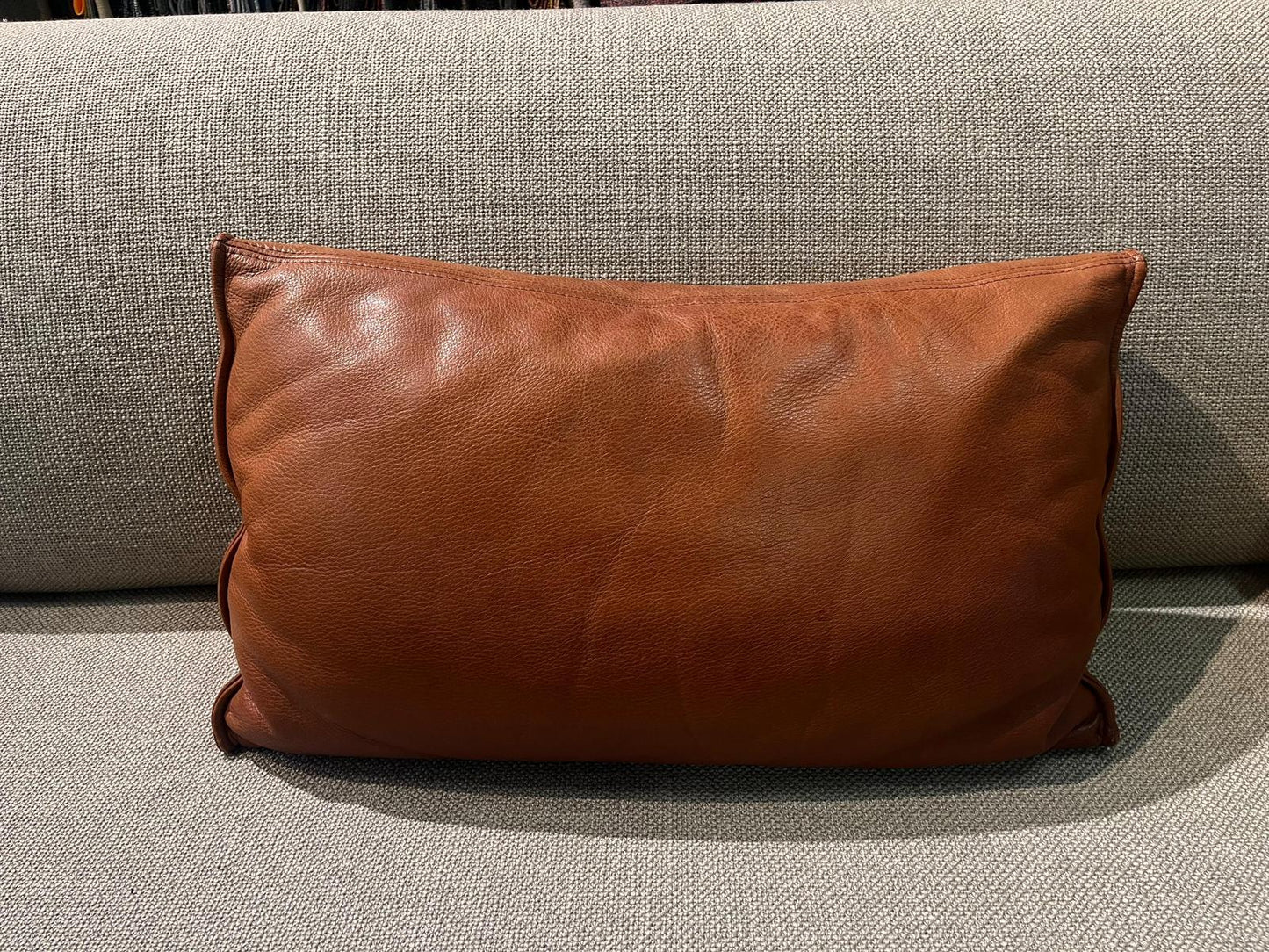ZGAN Leren Design on Stock Kussens NP €475 p/st