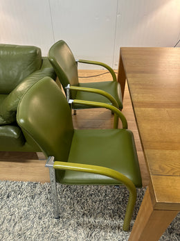 Complete Leolux Set Groen | Bank, Tafel, Stoelen & Fauteuils