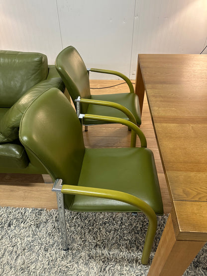 Complete Leolux Set Groen | Bank, Tafel, Stoelen & Fauteuils