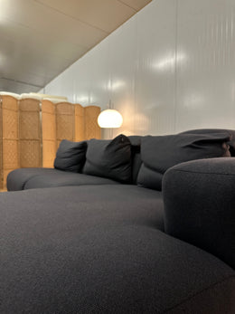 ZGAN Modulaire Rolf Benz Freistil bank Ploegwol - NP €10.000