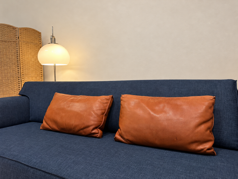 ZGAN Design on Stock 2x Lendekussen + GARANTIE
