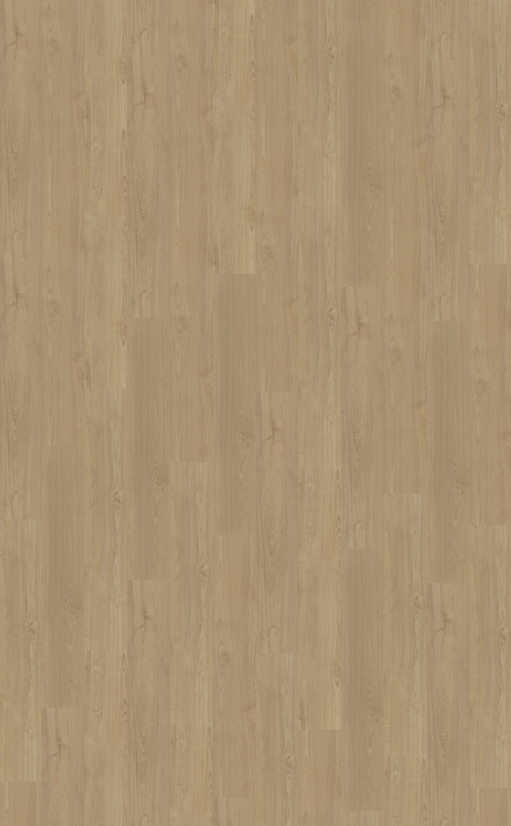Dryback PVC Belakos Portico 540