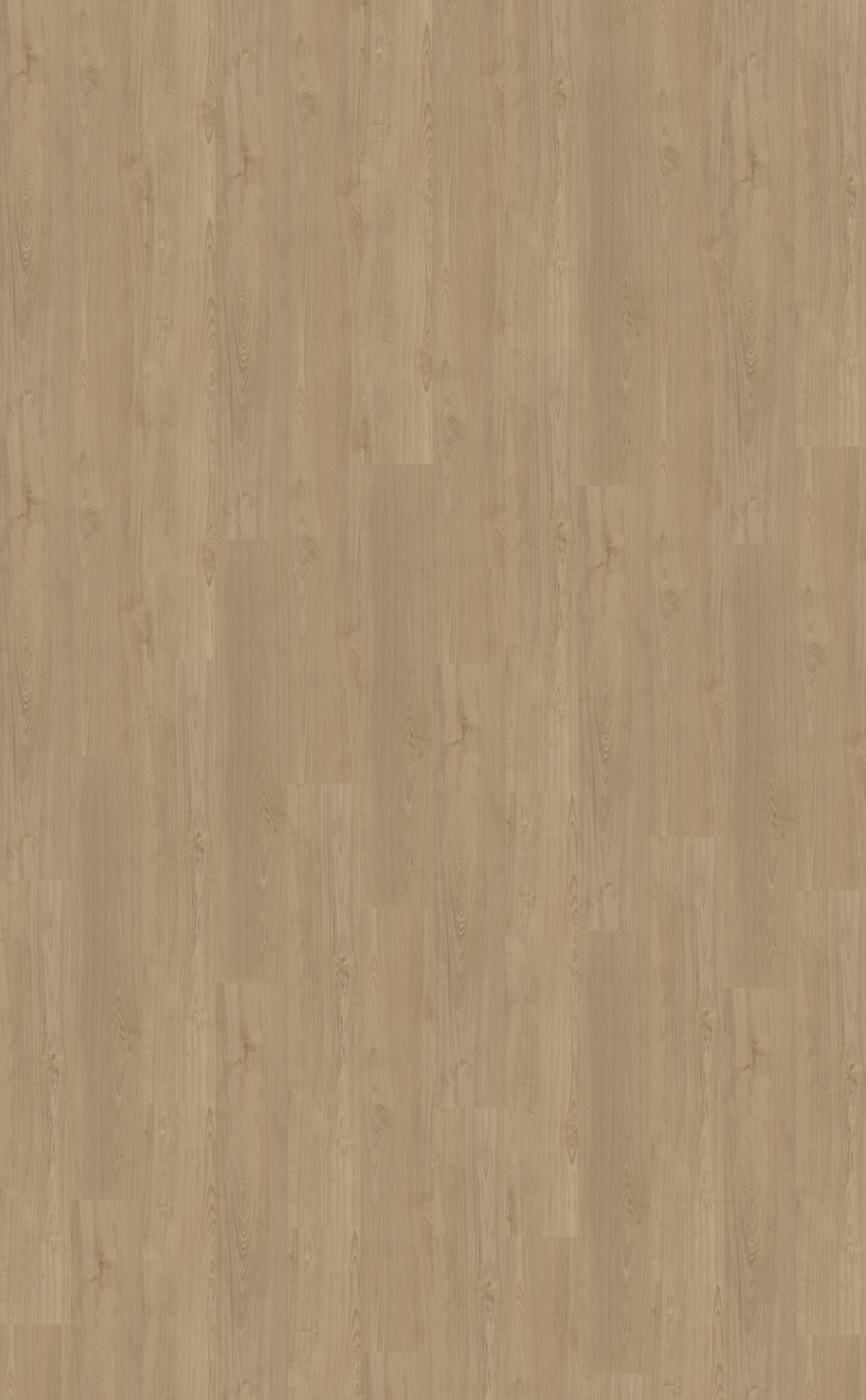 Dryback PVC Belakos Portico 540