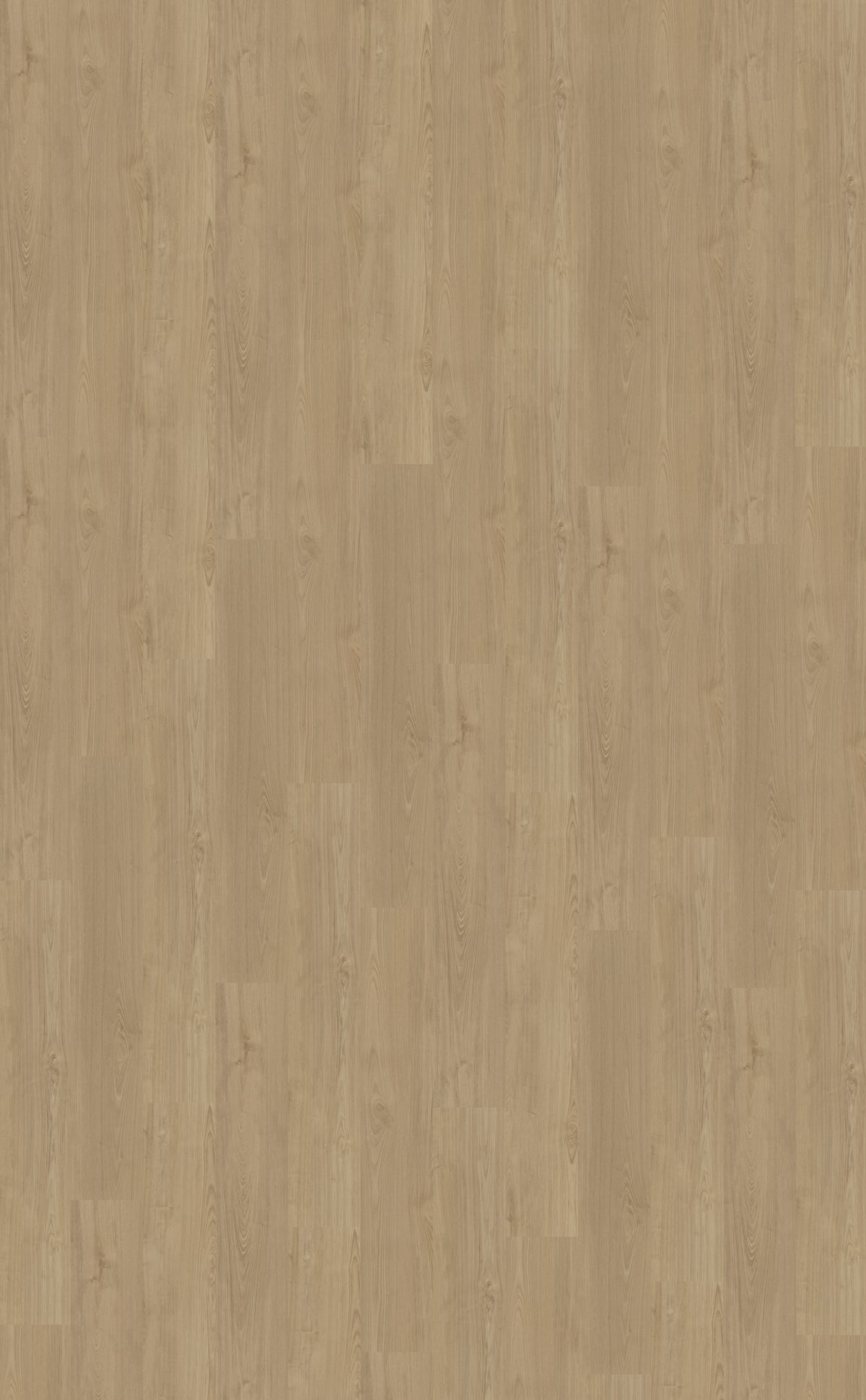 Dryback PVC Belakos Portico 540