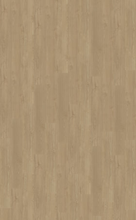 Dryback PVC Belakos Portico 540