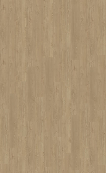 Dryback PVC Belakos Portico 540