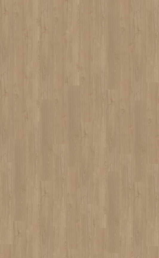 Dryback PVC Belakos Portico 540
