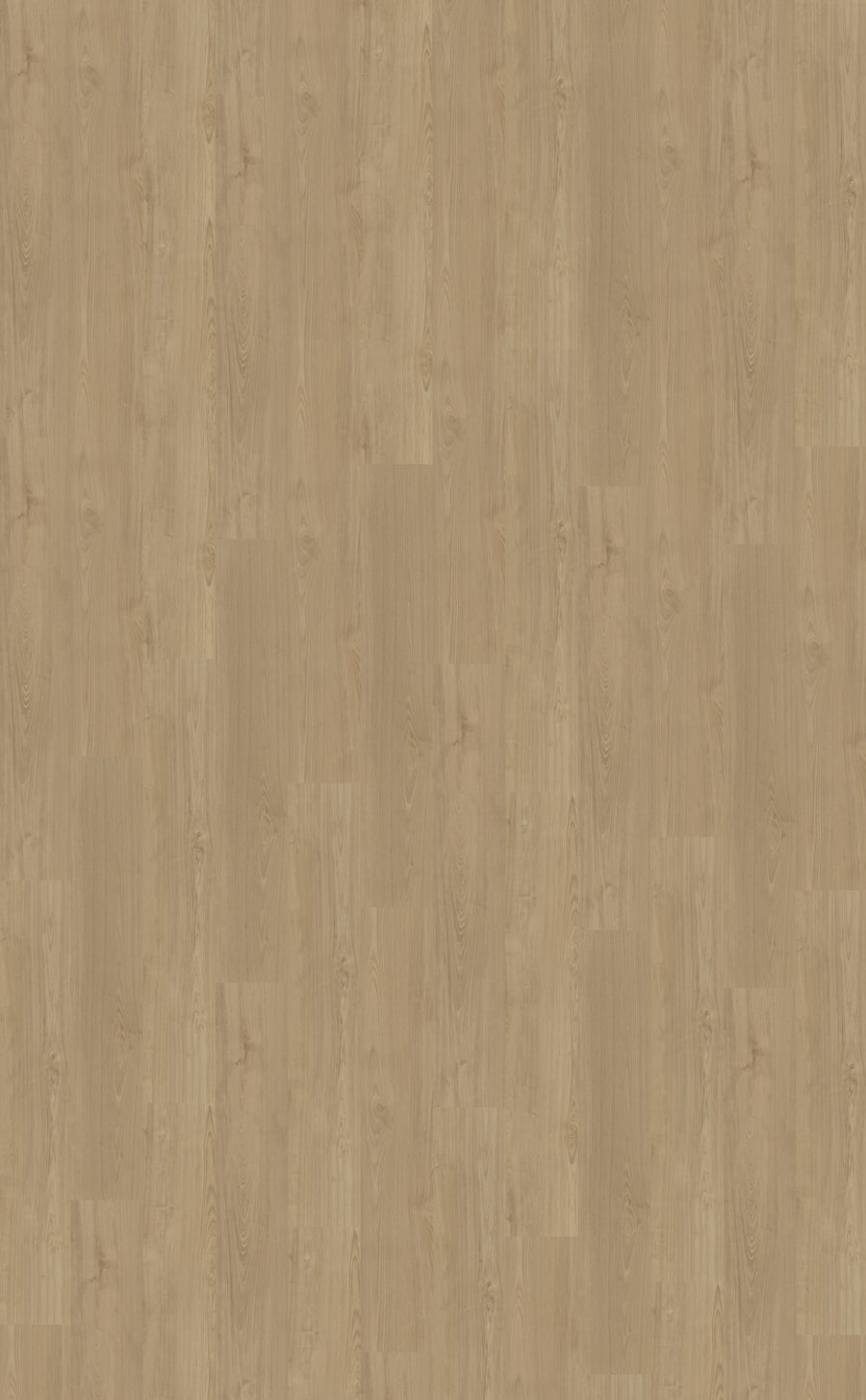 Dryback PVC Belakos Portico 540