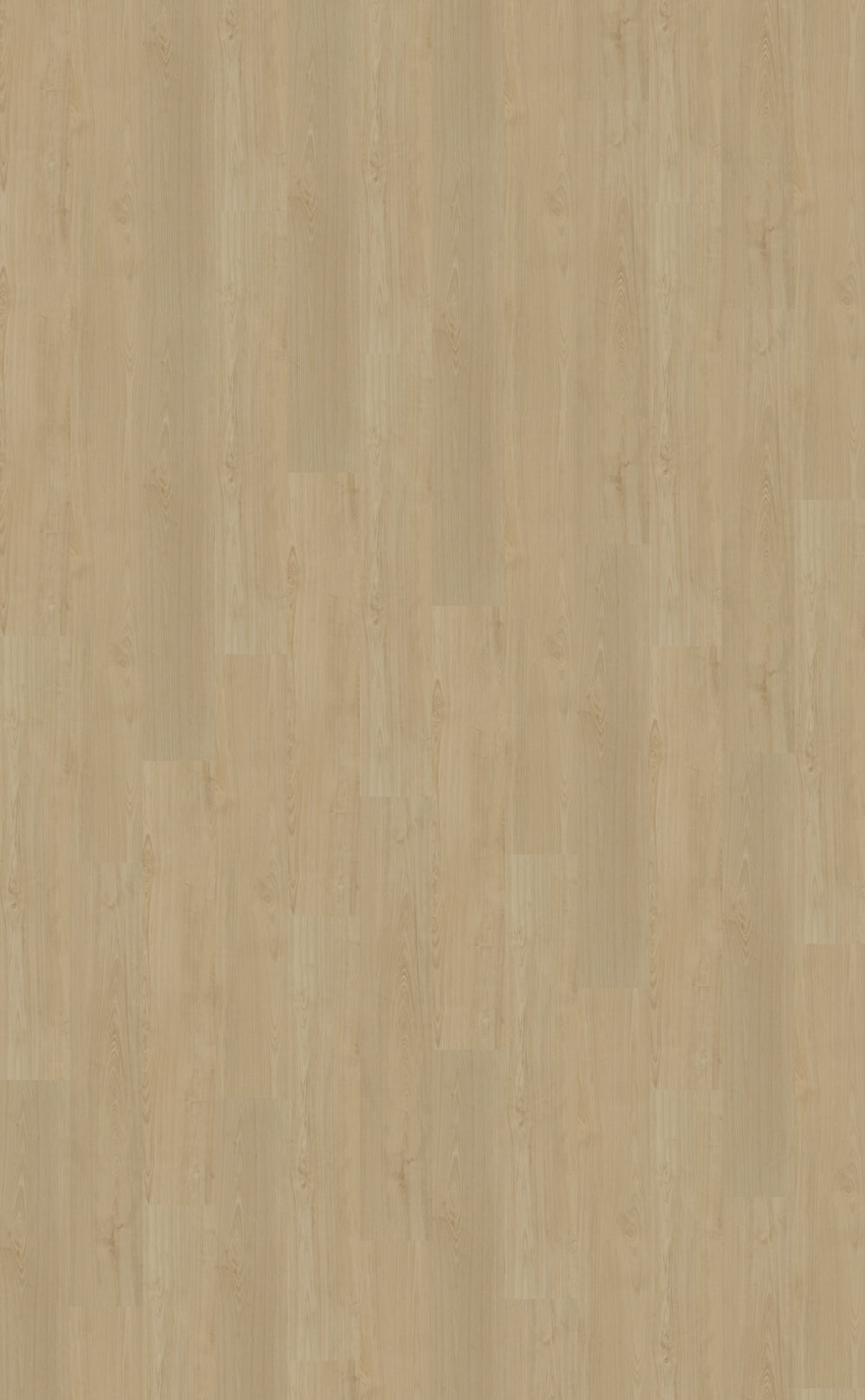 Dryback PVC Belakos Portico 550