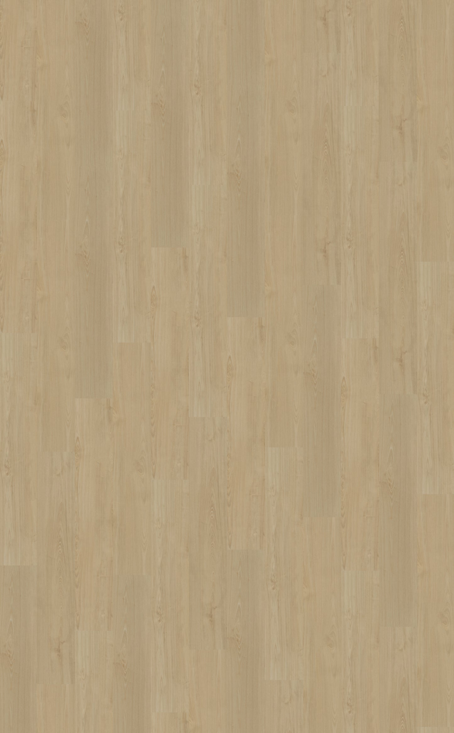 Dryback PVC Belakos Portico 550