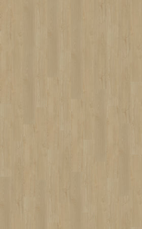 Dryback PVC Belakos Portico 550