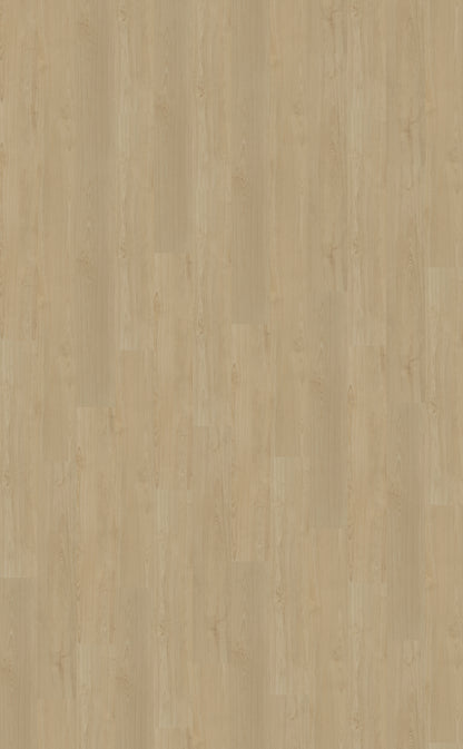 Dryback PVC Belakos Portico 550