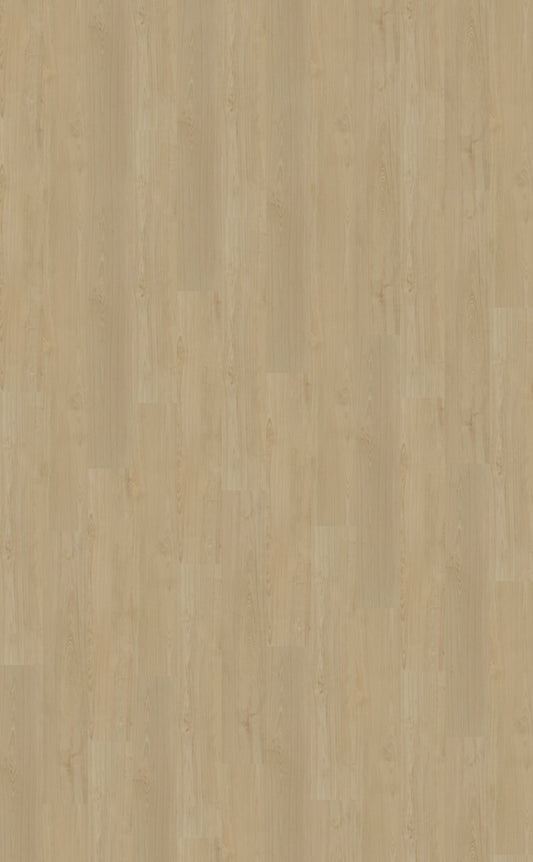 Dryback PVC Belakos Portico 550