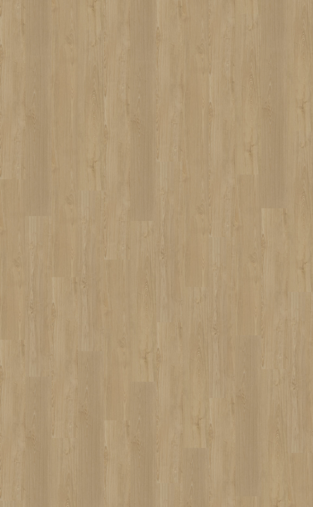 Dryback PVC Belakos Portico 560