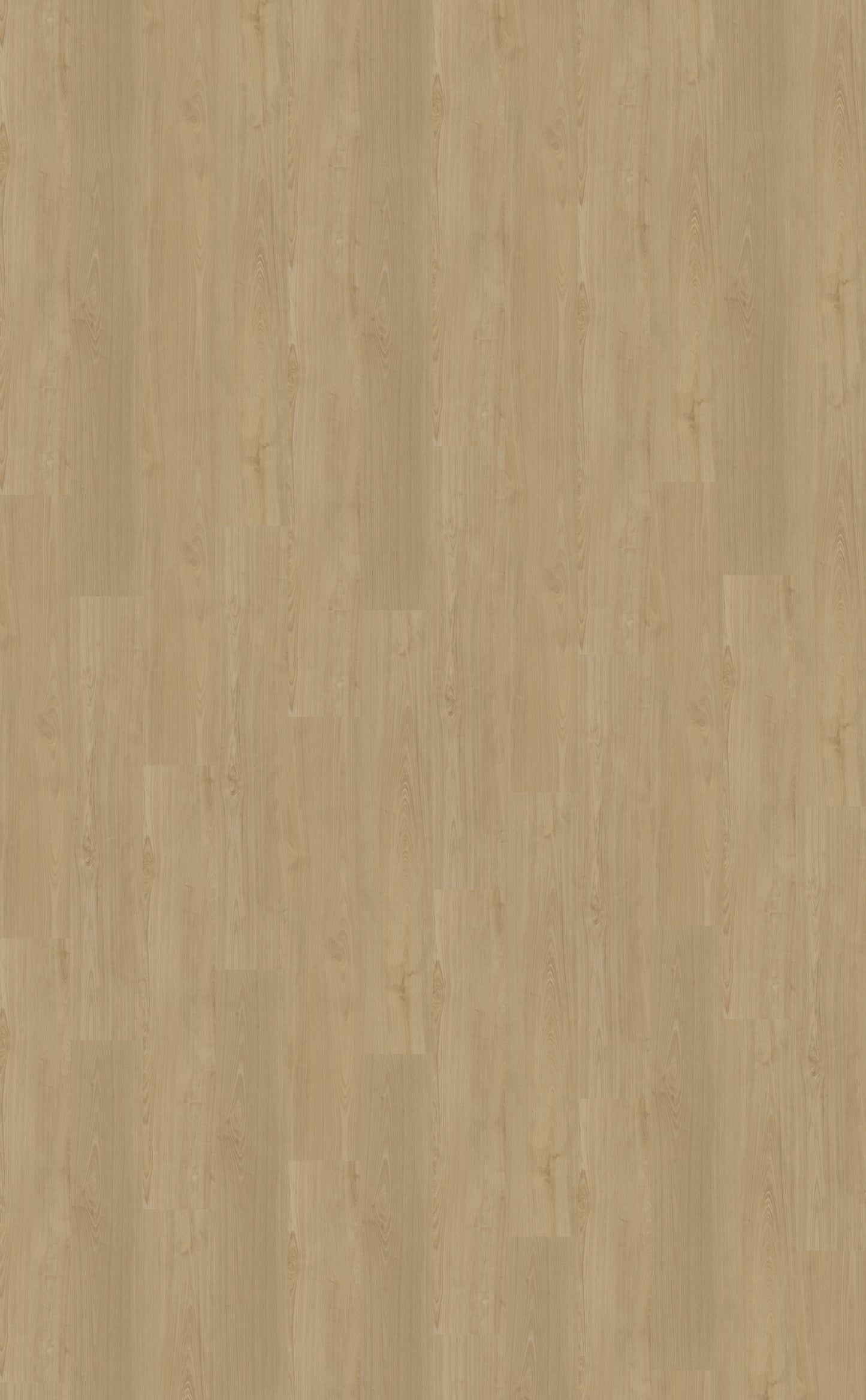 Dryback PVC Belakos Portico 560
