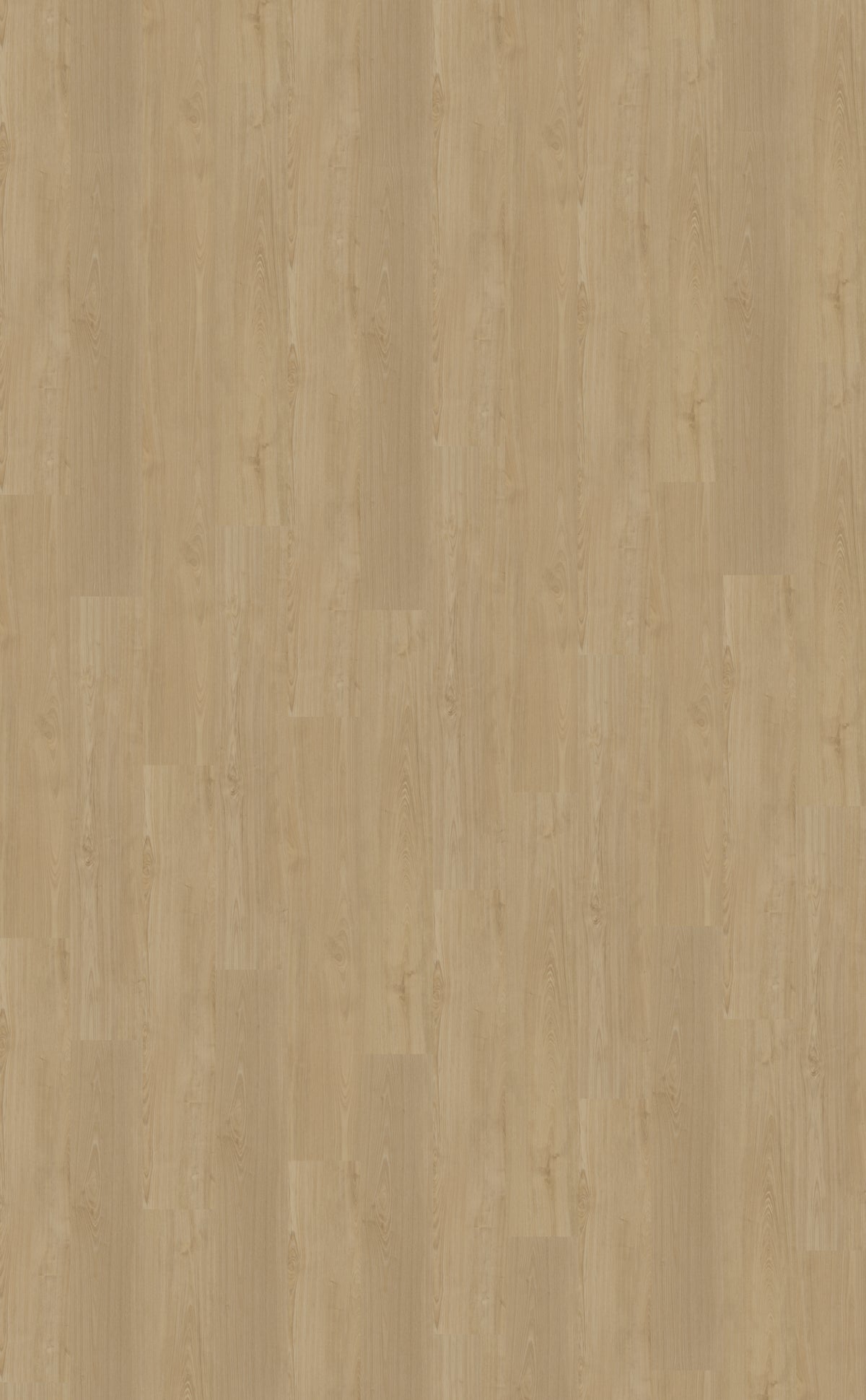 Dryback PVC Belakos Portico 560