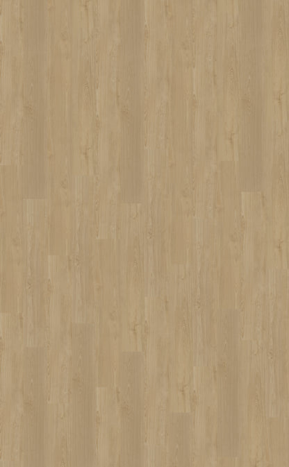 Dryback PVC Belakos Portico 560