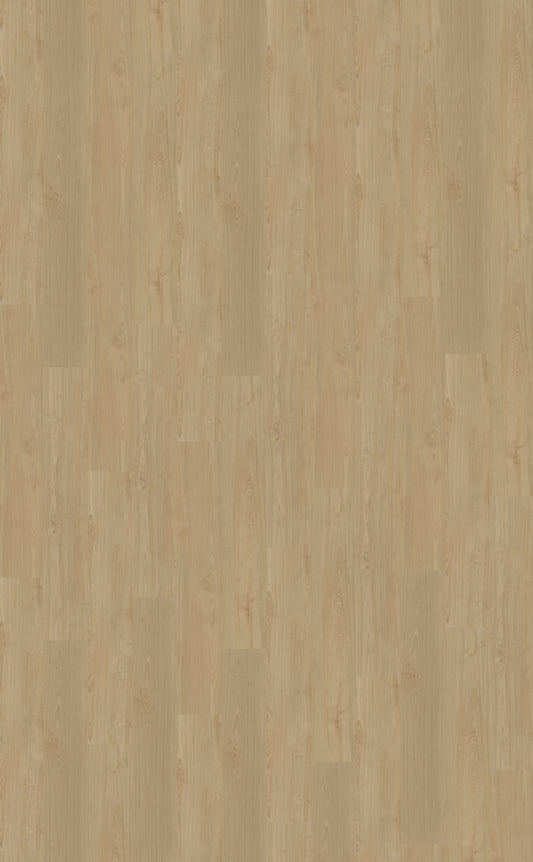 Dryback PVC Belakos Portico 560