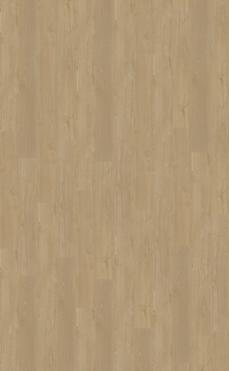 Dryback PVC Belakos Portico 560