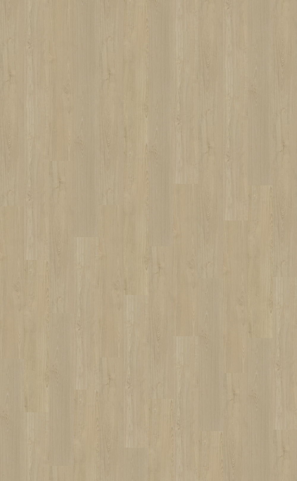 Dryback PVC Belakos Portico 570