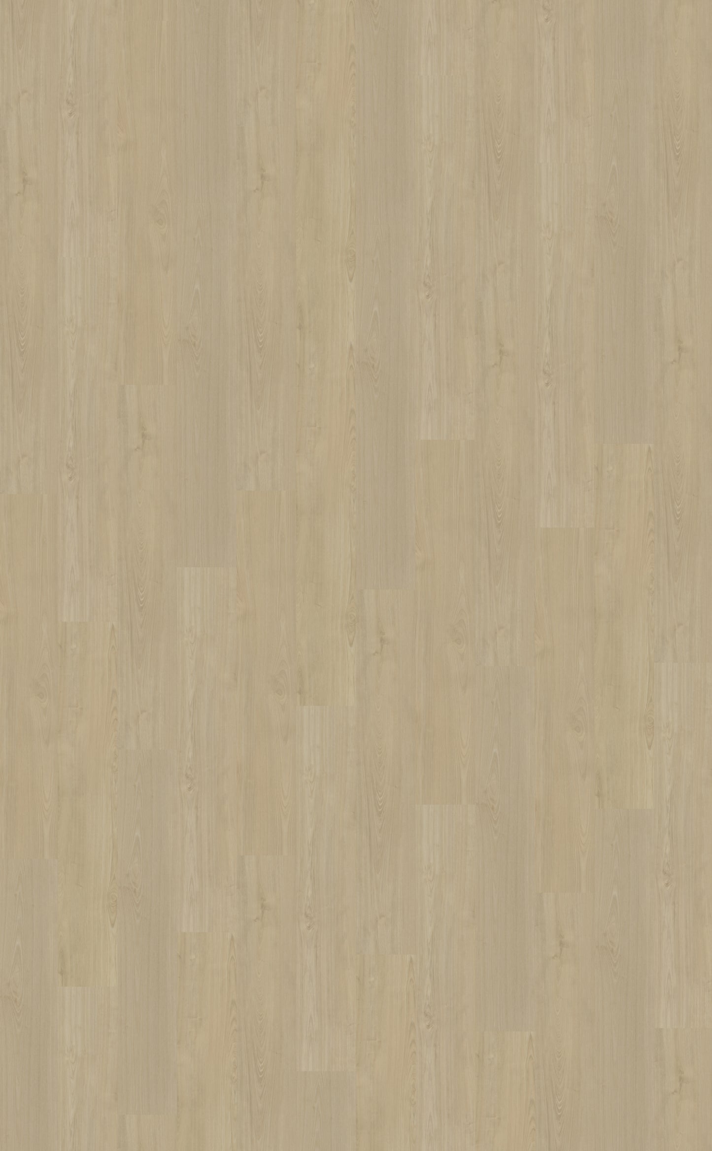 Dryback PVC Belakos Portico 570