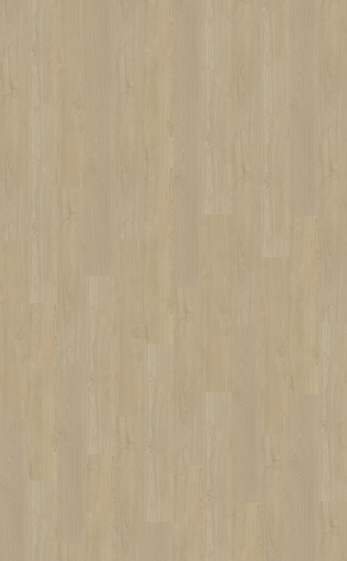 Dryback PVC Belakos Portico 570