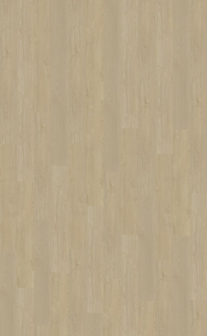 Dryback PVC Belakos Portico 570