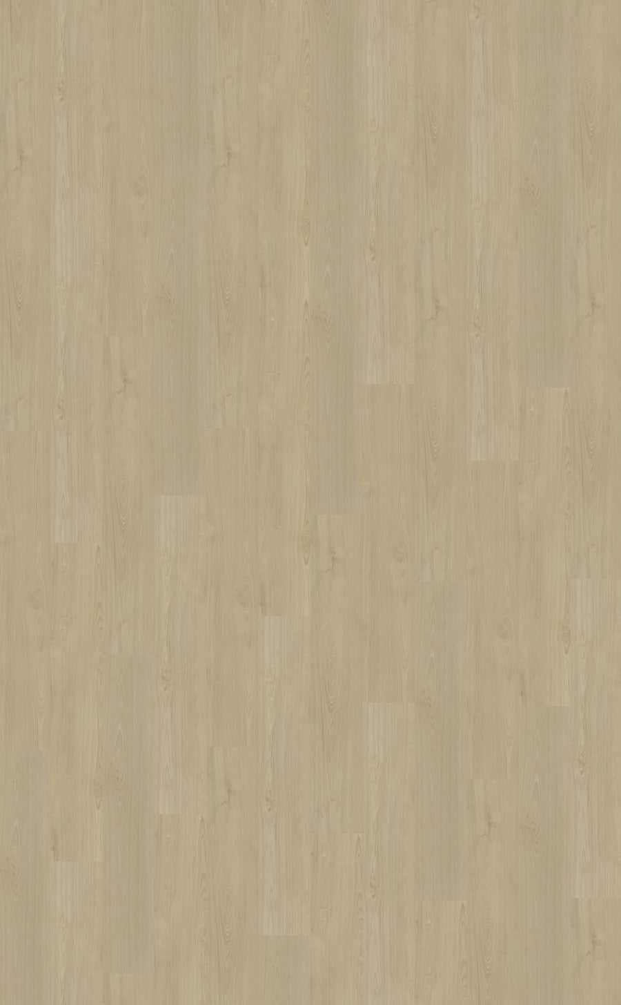 Dryback PVC Belakos Portico 570