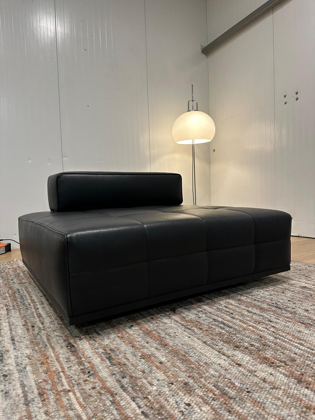 NIEUW Minotti Lawrence 2x Element Leer + GARANTIE