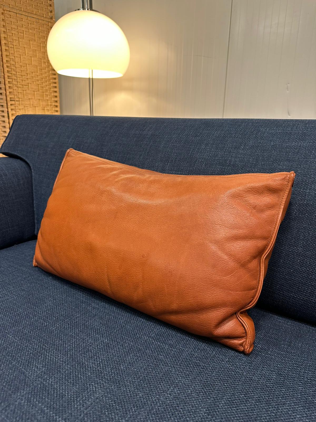 2x Origineel Design on Stock Lendekussen – €150 p/st