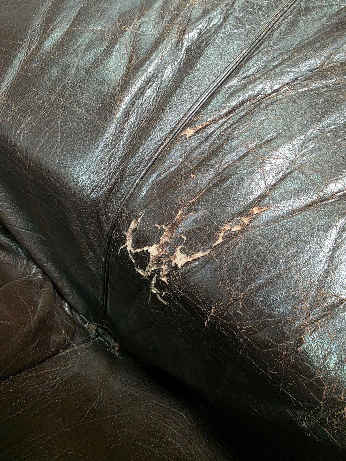 ORIGINEEL B&B Italia Biambola 2-Zits + GARANTIE – NP: €9.800