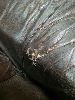 ORIGINEEL B&B Italia Biambola 2-Zits + GARANTIE – NP: €9.800