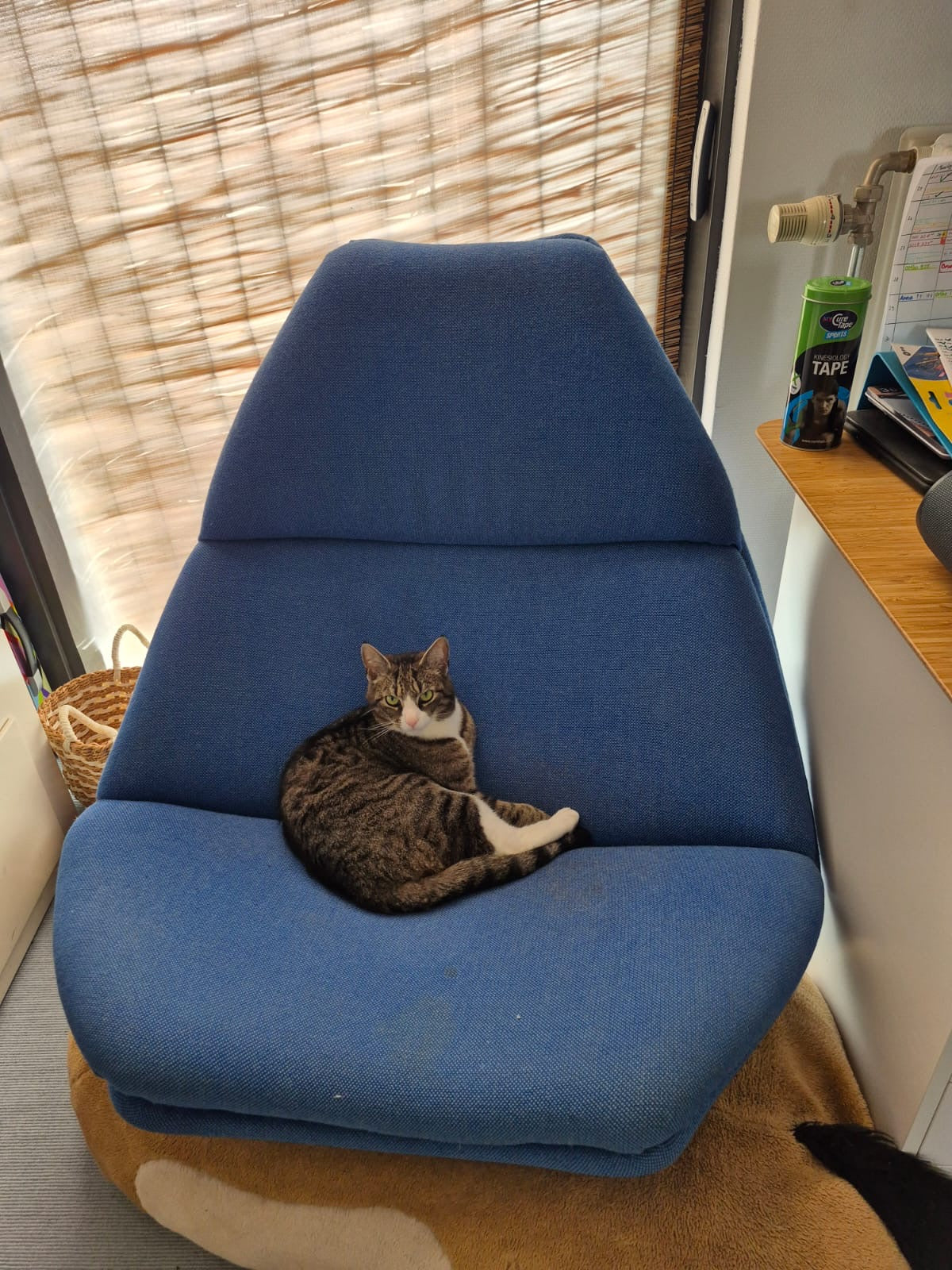 Artifort F510 Fauteuil voor het herstofferen