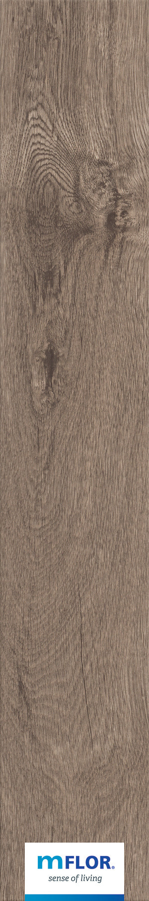 mFLOR Parva Broad Leaf 40817 Smoky Sycamore